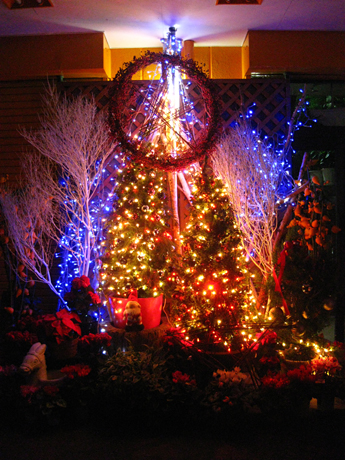 毎年恒例のクリスマスツリー（夜の部）
